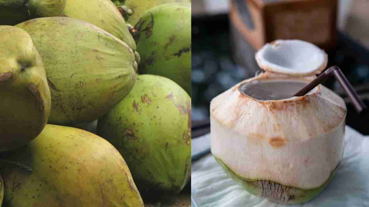 ಎಳನೀರು ಅಮೃತವಾದ್ರೂ ಸಹ, ಈ 6 ರೀತಿಯ ಆರೋಗ್ಯ ಸಮಸ್ಯೆಗಳಿರುವವರಿಗೆ ಒಳ್ಳೆಯದಲ್ಲ