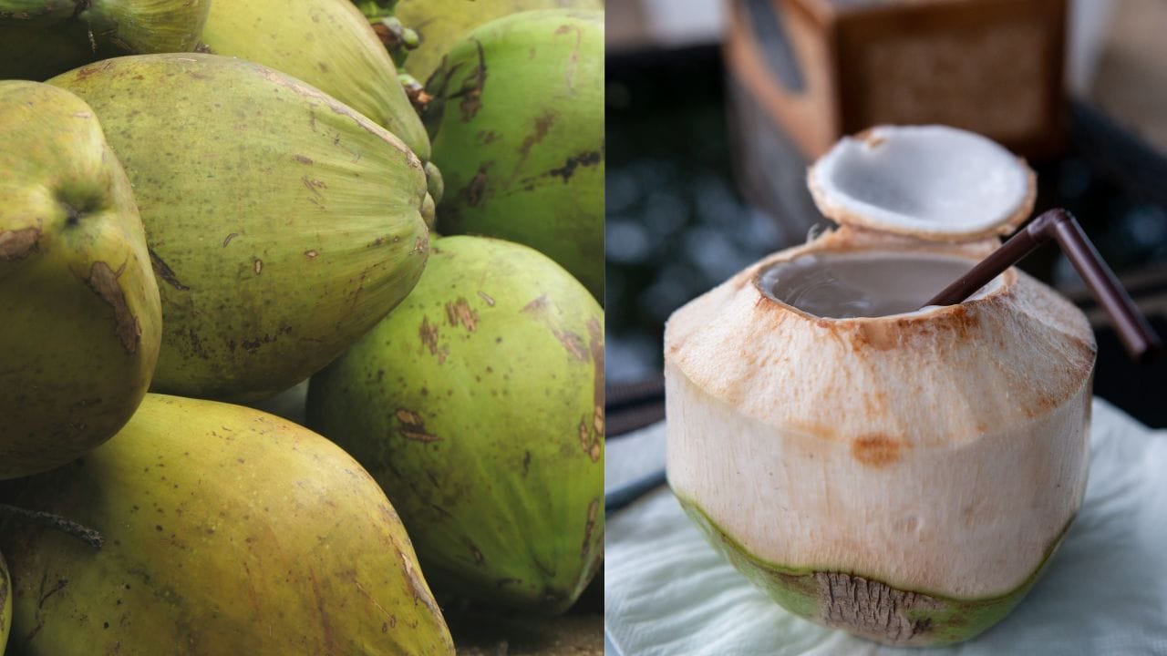 ಎಳನೀರು ಅಮೃತವಾದ್ರೂ ಸಹ, ಈ 6 ರೀತಿಯ ಆರೋಗ್ಯ ಸಮಸ್ಯೆಗಳಿರುವವರಿಗೆ ಒಳ್ಳೆಯದಲ್ಲ