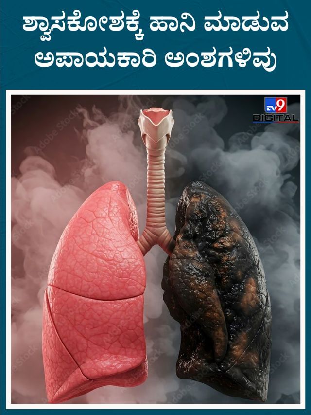 ಸ್ಮೋಕಿಂಗ್‌ ಮಾತ್ರವಲ್ಲ ಈ ಅಂಶಗಳಿಂದಲೂ ಶ್ವಾಸಕೋಶಕ್ಕೆ ಹಾನಿಯಾಗಬಹುದು
