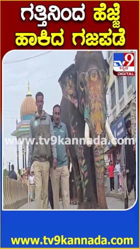 ಮೈಸೂರು ದಸರಾ: ಗತ್ತಿನಿಂದ ಹೆಜ್ಜೆ ಹಾಕಿದ ಗಜಪಡೆ