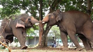 ಹಾಸ್ಟೆಲ್ ಸೀಲಿಂಗ್ ಫ್ಯಾನ್​ಗಳಲ್ಲಿ ಆ್ಯಂಟಿ ಸೂಯಿಸೈಡ್ ಡಿವೈಸ್! ರಾಜೀವ್ ಗಾಂಧಿ ವಿವಿ ಮಹತ್ವದ ಕ್ರಮ