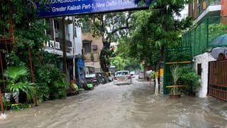 Daily Devotional: ಗಣೇಶನಿಗೆ ತುಳಸಿ ಏಕೆ ಅರ್ಪಿಸಬಾರದು ತಿಳಿಯಿರಿ