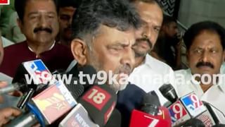 ರಸ್ತೆ ದಾಟುವಾಗ ಸ್ಕೂಟಿಗೆ ಡಿಕ್ಕಿ ಹೊಡೆದ ಹಂದಿಗಳ ಹಿಂಡು; ಬಿದ್ದ ರಭಸಕ್ಕೆ ಮಹಿಳೆಯ ಹೆಲ್ಮೆಟ್ ಛಿದ್ರ!