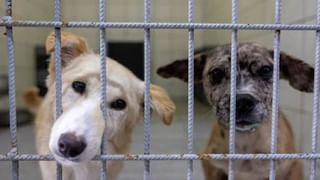 ಆಪರೇಷನ್ ಸಿಂಧೂರ್ ಬಳಿಕ ಮೊದಲ ಬಾರಿಗೆ ಗಡಿ ನುಸುಳಲು ಉಗ್ರರ ಯತ್ನ, ಗುಂಡಿನ ಚಕಮಕಿ, ಸೈನಿಕ ಹುತಾತ್ಮ