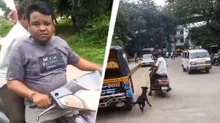 ಕೋಲಾರದಿಂದ ತಿರುಪತಿ ತಿಮ್ಮಪ್ಪನ ದೇವಸ್ಥಾನದ ದಾಸೋಹಕ್ಕೆ 7 ಟನ್ ತರಕಾರಿ ಕಳುಹಿಸಿದ ಸ್ನೇಹಿತರು