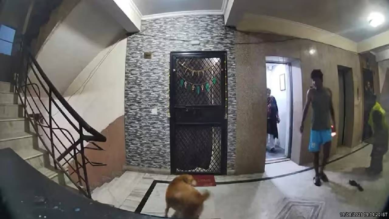 Video: ಗಾಜಿಯಾಬಾದ್ ಅಪಾರ್ಟ್​​ಮೆಂಟ್​​ನ ಲಿಫ್ಟ್​ ಬಳಿ ಮಹಿಳೆ ಮೇಲೆ ಸಾಕು ನಾಯಿ ದಾಳಿ