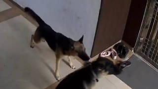 Karnataka Assembly Session Live: ವಿಧಾನಸಭೆ ಅಧಿವೇಶನ ನೇರಪ್ರಸಾರ