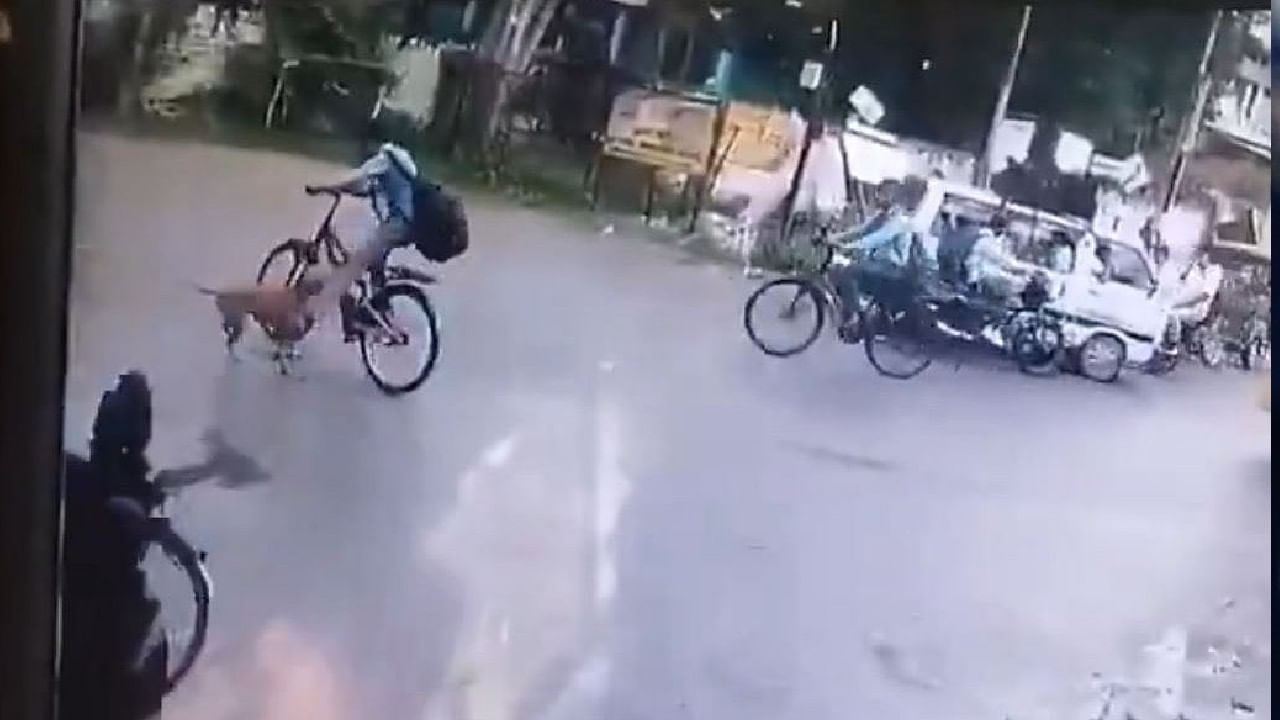 ಸೈಕಲ್​ ಮೇಲೆ ಹೋಗುತ್ತಿದ್ದ ವಿದ್ಯಾರ್ಥಿ ಮೇಲೆ ಬೀದಿ ನಾಯಿ ದಾಳಿ