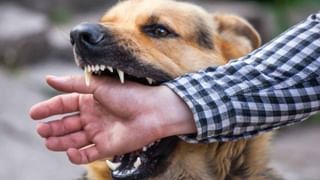 Optical Illusion: ನೀವು ಜೀವನದಲ್ಲಿ ಯಾವುದಕ್ಕೆ ಹೆಚ್ಚು ಬೆಲೆ ಕೊಡುತ್ತೀರಿ ಎಂಬುದನ್ನು ತಿಳಿಸುವ ಚಿತ್ರವಿದು