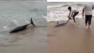 ಧರ್ಮಸ್ಥಳ ಪ್ರಕರಣ ತನಿಖೆಯಲ್ಲಿ ಏನೇನಾಯ್ತು? ಗೃಹ ಸಚಿವ ಕೊಟ್ಟ ಮಾಹಿತಿ ಇಲ್ಲಿದೆ