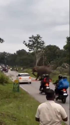 ಬಂಡೀಪುರದಲ್ಲಿ ಕೇರಳ ಪ್ರವಾಸಿಗನ ಮೇಲೆ ಆನೆ ದಾಳಿ
