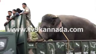 ಬಾನು ಮುಷ್ತಾಕರಿಂದ ಮೈಸೂರು ದಸರಾ ಉದ್ಘಾಟನೆ: ರಾಜವಂಶಸ್ಥ ಯದುವೀರ್ ಒಡೆಯರ್ ಶಾಕಿಂಗ್ ಹೇಳಿಕೆ