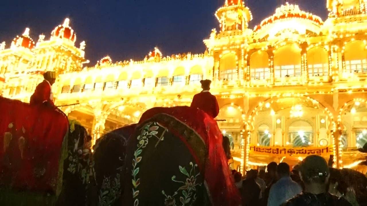 ವಿದ್ಯುತ್​ ದೀಪಾಲಂಕಾರ ನೋಡುತ್ತ ಮೈಸೂರು ಅರಮನೆಗೆ ಬಂದ ದಸರಾ ಆನೆಗಳು