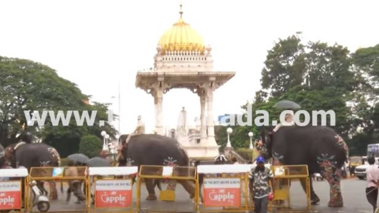 ಮೈಸೂರು ದಸರಾ ಮಹೋತ್ಸವ 2025: ಜಂಬೂ ಸವಾರಿಗಾಗಿ ತಾಲೀಮು ಆರಂಭಿಸಿದ ಗಜಪಡೆ