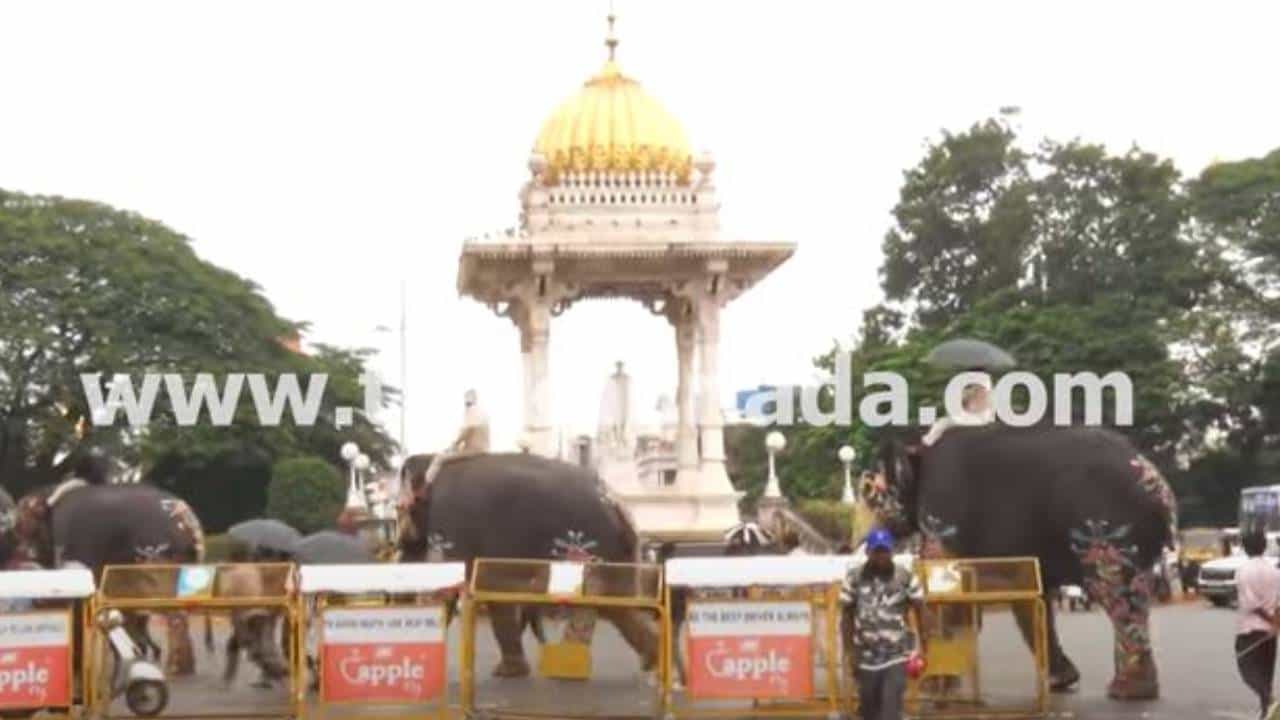 ಮೈಸೂರು ದಸರಾ ಮಹೋತ್ಸವ 2025: ಜಂಬೂ ಸವಾರಿಗಾಗಿ ತಾಲೀಮು ಆರಂಭಿಸಿದ ಗಜಪಡೆ ಮೈಸೂರು ದಸರಾ ಮಹೋತ್ಸವ 2025: ಜಂಬೂ ಸವಾರಿಗಾಗಿ ತಾಲೀಮು ಆರಂಭಿಸಿದ ಗಜಪಡೆ