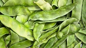 ಚಪ್ಪರದ ಅವರೆಕಾಯಿ ಆರೋಗ್ಯಕ್ಕೆ ಎಷ್ಟು ಒಳ್ಳೆಯದು ಗೊತ್ತಾ