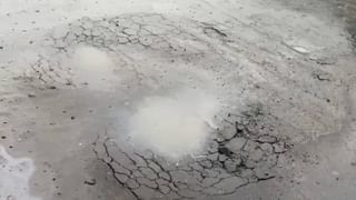 WI vs PAK; ವಿಂಡೀಸ್ ವಿರುದ್ಧ ಸರಣಿ ಗೆದ್ದ ಪಾಕ್ ಪಡೆ