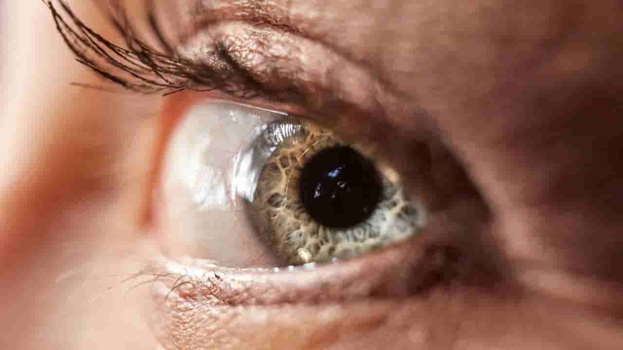 ಕಣ್ಣಿನ ದೃಷ್ಟಿ ಮಂದ ಆಗ್ತಾ ಇದ್ಯಾ? ಮಾತ್ರೆ, ಆಪರೇಷನ್ ಮೊರೆ ಹೋಗುವ ಬದಲು ಈ ಆಹಾರಗಳನ್ನು ಸೇವಿಸಿ