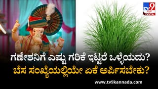 ಗಣೇಶ ಚತುರ್ಥಿಯ ಹಬ್ಬದ ಆರಂಭ ಹೇಗೆ? ಹಬ್ಬ ಮಾಡುವುದು ಯಾರು?