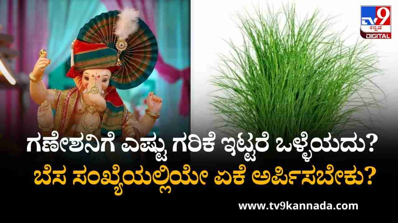 Ganesh Chaturthi 2025: ಗಣೇಶನಿಗೆ ಎಷ್ಟು ಗರಿಕೆ ಇಟ್ಟರೆ ಒಳ್ಳೆಯದು? ಬೆಸ ಸಂಖ್ಯೆಯಲ್ಲಿಯೇ ಏಕೆ ಅರ್ಪಿಸಬೇಕು?
