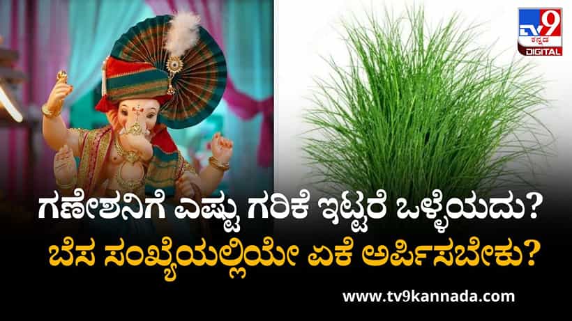 Ganesh Chaturthi 2025: ಗಣೇಶನಿಗೆ ಎಷ್ಟು ಗರಿಕೆ ಇಟ್ಟರೆ ಒಳ್ಳೆಯದು? ಬೆಸ ಸಂಖ್ಯೆಯಲ್ಲಿಯೇ ಏಕೆ ಅರ್ಪಿಸಬೇಕು?