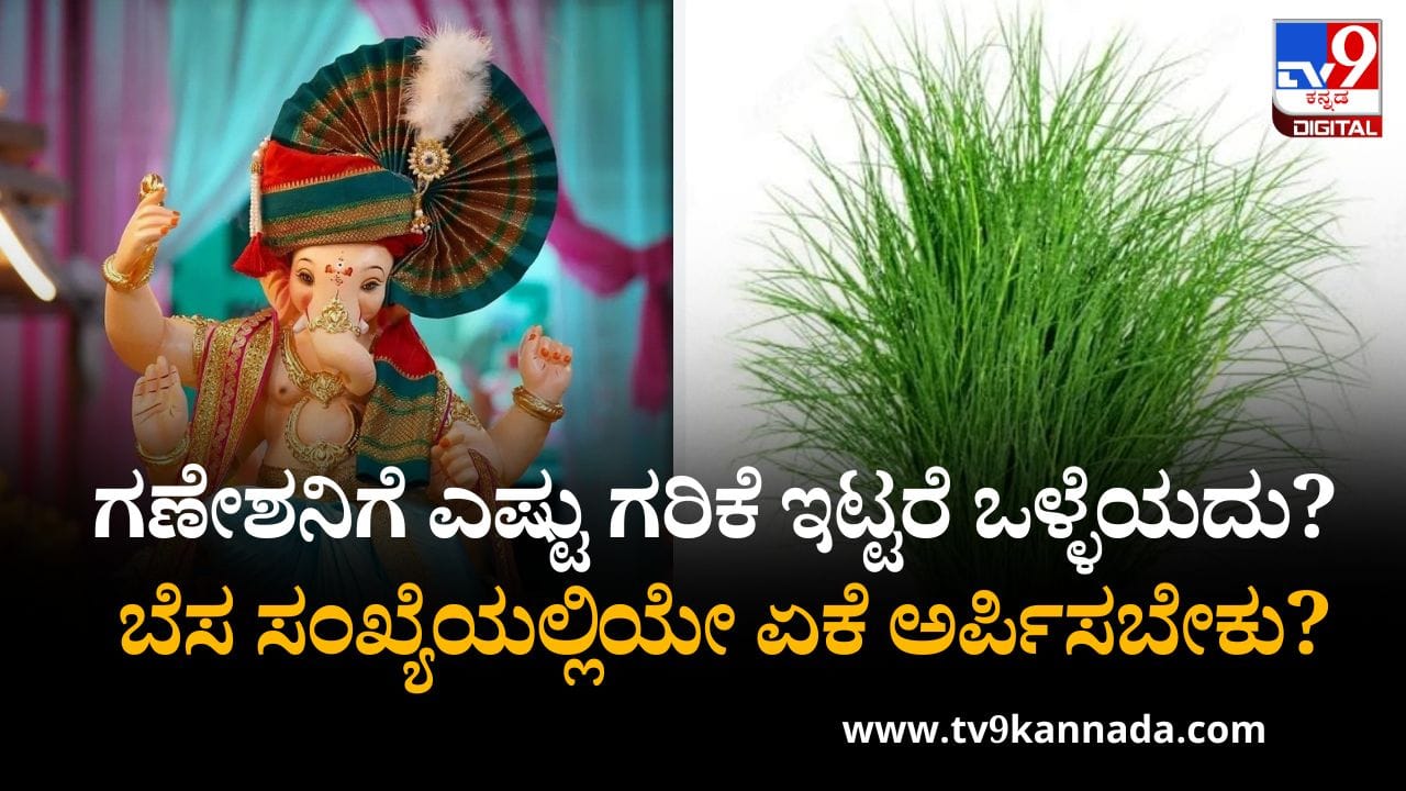 Ganesh Chaturthi 2025: ಗಣೇಶನಿಗೆ ಎಷ್ಟು ಗರಿಕೆ ಇಟ್ಟರೆ ಒಳ್ಳೆಯದು? ಬೆಸ ಸಂಖ್ಯೆಯಲ್ಲಿಯೇ ಏಕೆ ಅರ್ಪಿಸಬೇಕು?