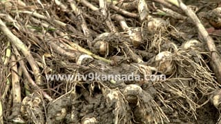 ಹೈದರಾಬಾದ್: ಮಿಯಾಪುರದಲ್ಲಿ ಕಲಬುರಗಿಯ ಒಂದೇ ಕುಟುಂಬದ ಐವರು ಸಾವು