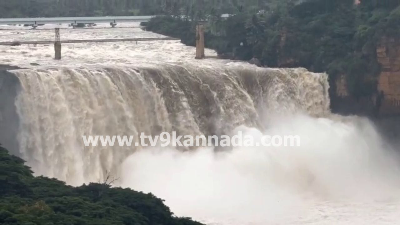Gokak Falls: ಧುಮ್ಮಿಕ್ಕಿ ಹರಿಯುತ್ತಿದೆ ಗೋಕಾಕ್ ಫಾಲ್ಸ್, ವಿಡಿಯೋ ನೋಡಿ