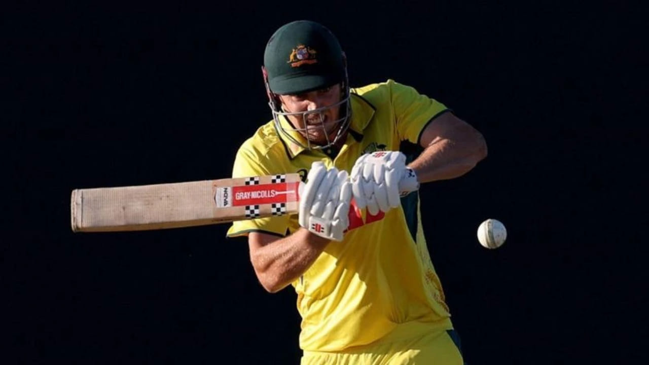 ಕ್ಯಾಮರೂನ್ ಗ್ರೀನ್ ಇದುವರೆಗೆ 31 ಏಕದಿನ ಪಂದ್ಯಗಳನ್ನು ಆಡಿದ್ದಾರೆ, ಇದರಲ್ಲಿ ಅವರು 43.44 ಸರಾಸರಿಯಲ್ಲಿ 782 ರನ್ ಗಳಿಸಿದ್ದಾರೆ. ಇದರಲ್ಲಿ ಒಂದು ಶತಕ ಮತ್ತು ಎರಡು ಅರ್ಧಶತಕಗಳು ಸೇರಿವೆ. ಈ ಸಮಯದಲ್ಲಿ, ಅವರು 20 ವಿಕೆಟ್‌ಗಳನ್ನು ಸಹ ಪಡೆದಿದ್ದಾರೆ.
