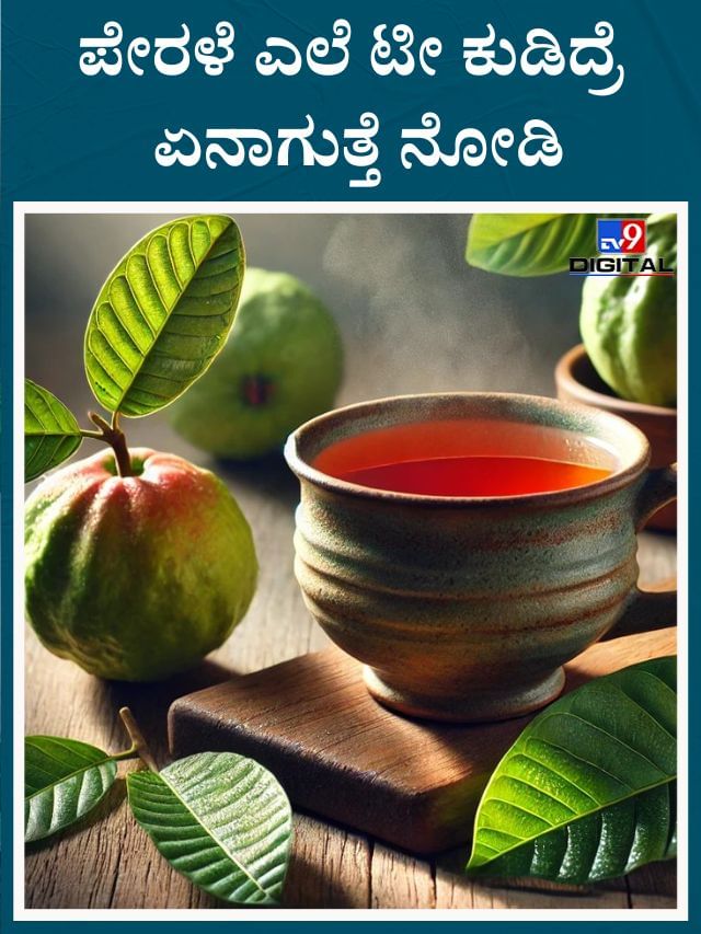 ಪೇರಳೆ ಎಲೆ ಟೀ ಕುಡಿಯೋದ್ರಿಂದ ಲಭಿಸುವ ಪ್ರಯೋಜನ ಅಷ್ಟಿಷ್ಟಲ್ಲ