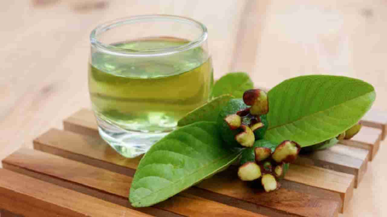 ಪೇರಳೆ ಎಲೆಯ ಚಹಾ ಕುಡಿಯೋದ್ರಿಂದ ಲಭಿಸುವ ಪ್ರಯೋಜನ ಅಷ್ಟಿಷ್ಟಲ್ಲ