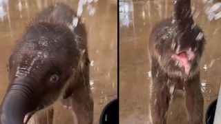 Video: ಮೊಬೈಲ್ ಬಳಸೋರಿಗೆ ಲಂಡನ್‌ಗಿಂತ ಮುಂಬೈ ಸೇಫ್, ಅಸಲಿ ಕಾರಣ ತಿಳಿಸಿದ ಯುವಕ