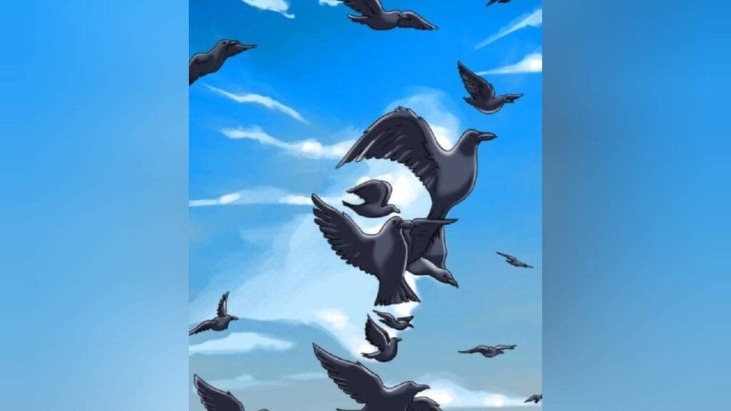 Hidden Face Optical Illusions