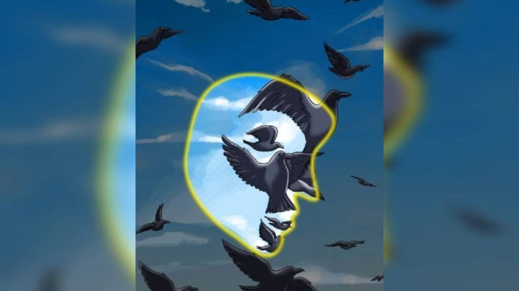 Hidden Face Optical Illusions Answer