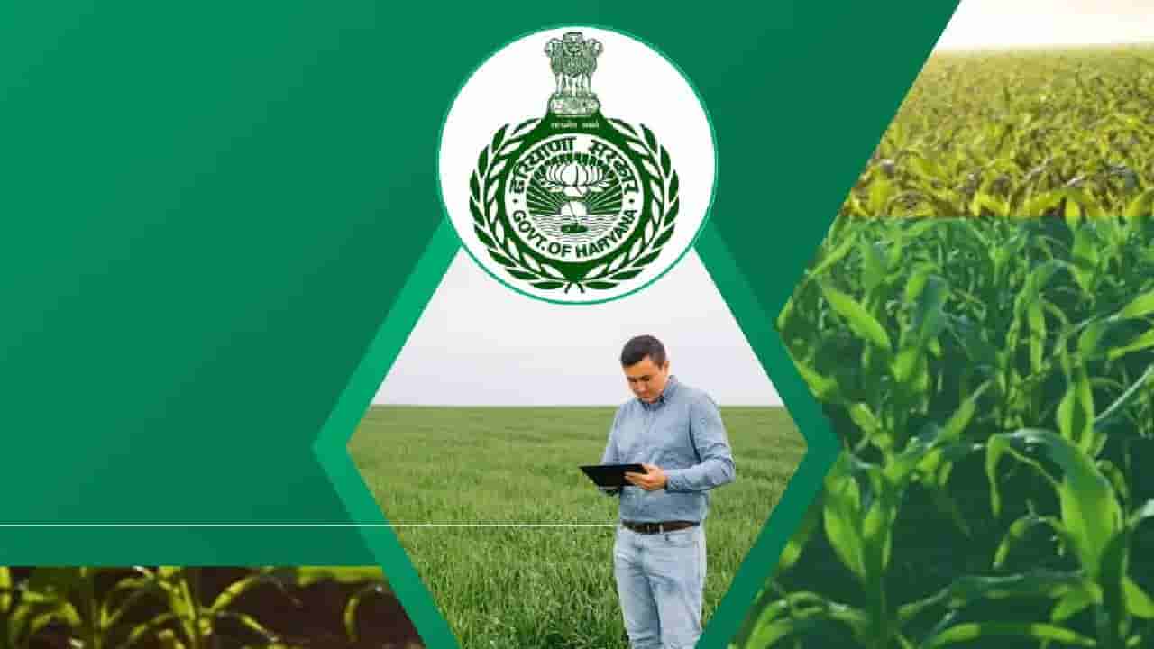 HPSC Recruitment 2025: ಕೃಷಿಯಲ್ಲಿ ಪದವಿ ಪಡೆದು ಸರ್ಕಾರಿ ಉದ್ಯೋಗ ಹುಡುಕುತ್ತಿದ್ದೀರಾ? ಇಲ್ಲಿದೆ ಸುವರ್ಣವಕಾಶ