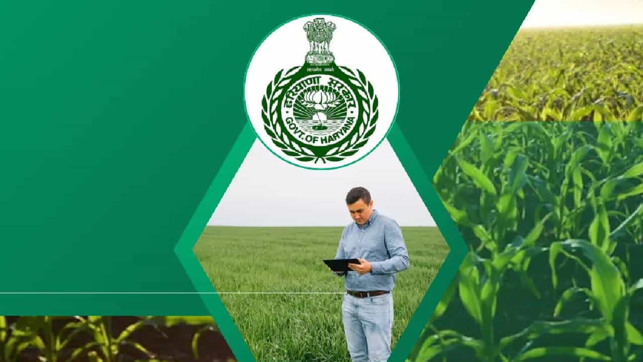 HPSC Recruitment 2025: ಕೃಷಿಯಲ್ಲಿ ಪದವಿ ಪಡೆದು ಸರ್ಕಾರಿ ಉದ್ಯೋಗ ಹುಡುಕುತ್ತಿದ್ದೀರಾ? ಇಲ್ಲಿದೆ ಸುವರ್ಣವಕಾಶ