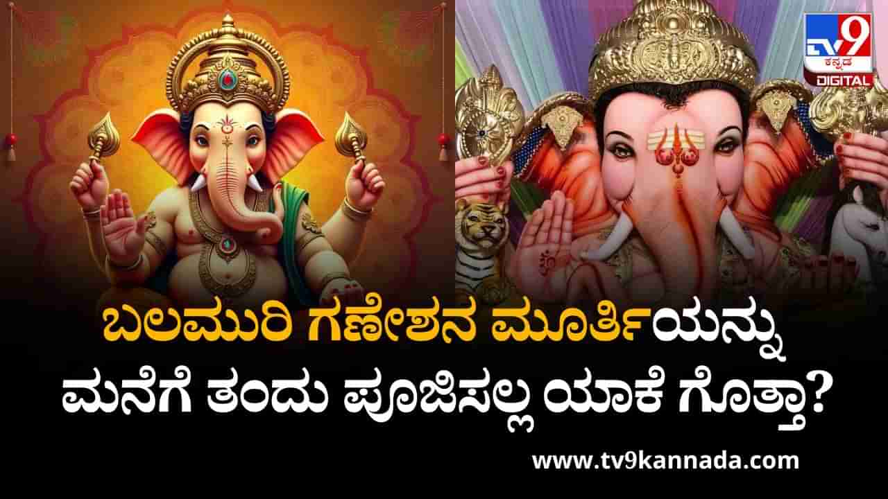Ganesh Chaturthi 2025: ಬಲಮುರಿ ಗಣೇಶನ ಮೂರ್ತಿಯನ್ನು ಮನೆಗೆ ತಂದು ಪೂಜಿಸಲ್ಲ ಯಾಕೆ ಗೊತ್ತಾ?