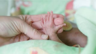 Astro Tips: ಮನೆಯಲ್ಲಿ ನಾಯಿ ಸಾಕುವುದು ಒಳ್ಳೆಯದೇ? ಜ್ಯೋತಿಷ್ಯ ಶಾಸ್ತ್ರ ಹೇಳುವುದೇನು?