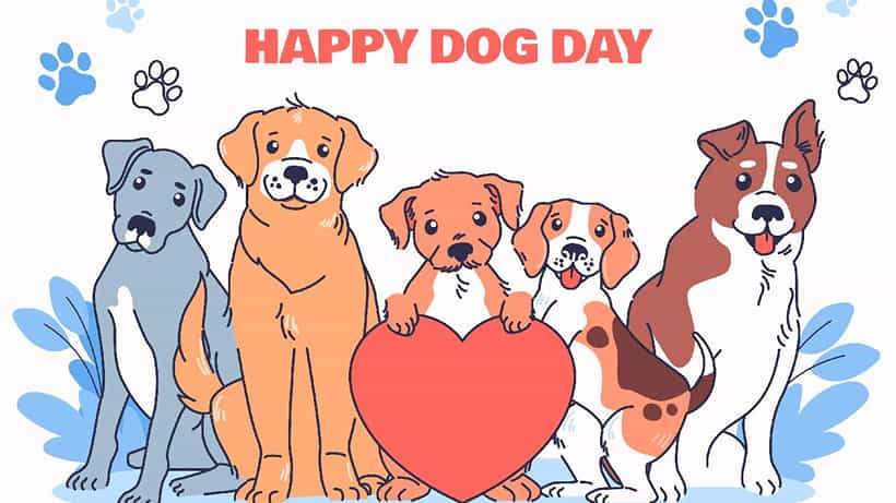 International Dog Day 2025: ಶ್ವಾನ ದಿನವನ್ನು ಆಚರಿಸುವುದೇಕೇ? ಈ ಆಚರಣೆಯ ಇತಿಹಾಸ, ಮಹತ್ವ ತಿಳಿಯಿರಿ