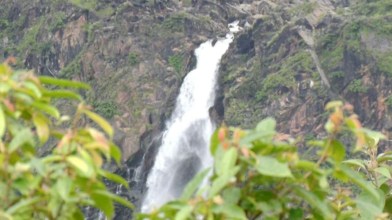 ವಿಶ್ವ ಪ್ರಸಿದ್ಧ ಜೋಗ ಜಲಪಾತ ನೋಡುವುದಕ್ಕೆ ಪ್ರವಾಸಿಗರು ಕಾತುರದಿಂದ ಕಾಯುತ್ತಿದ್ದರು. ಮಲೆನಾಡಿನಲ್ಲಿ ಸುರಿದ ಧಾರಕಾರ ಮಳೆಯಿಂದ ಜೋಗ ಜಲಪಾತ ಕಳೆಕಟ್ಟಿದೆ. ಪ್ರವಾಸಿಗರನ್ನ ತನ್ನತ್ತ ಸೆಳೆಯುತ್ತಿದೆ. ಮಳೆಗಾಲದಲ್ಲಿ ಸ್ವರ್ಗದಂತಿರುವ ಪ್ರಕೃತಿ ಮಡಲಿನಲ್ಲಿರುವ ಜೋಗ ಫಾಲ್ಸ್ ಸೌಂದರ್ಯ ಮಳೆಗಾಲದಲ್ಲಿ ನೂರಪಟ್ಟು ಜಾಸ್ತಿಯಾಗಿದೆ.
