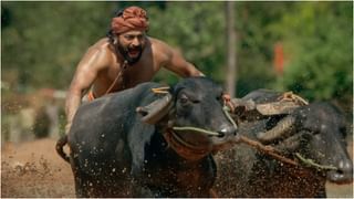 ‘ಎಲ್ಲವೂ ಕೋರ್ಟ್​ನಲ್ಲಿ ಇತ್ಯರ್ಥ ಆಗುತ್ತೆ’; 3 ಕೋಟಿ ರೂ. ವಂಚನೆ ಆರೋಪಕ್ಕೆ ಧ್ರುವ ಸರ್ಜಾ ಸ್ಪಷ್ಟನೆ