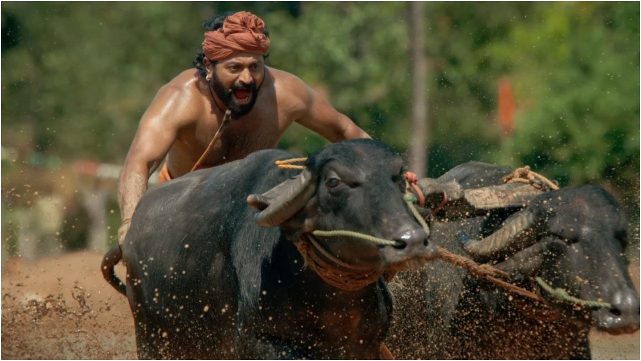 ‘ಕಾಂತಾರ’ ಚಿತ್ರದ ಕಂಬಳ ದೃಶ್ಯದಲ್ಲಿ ಮಿಂಚಿದ್ದ ಅಪ್ಪು ಕೋಣ ಸಾವು