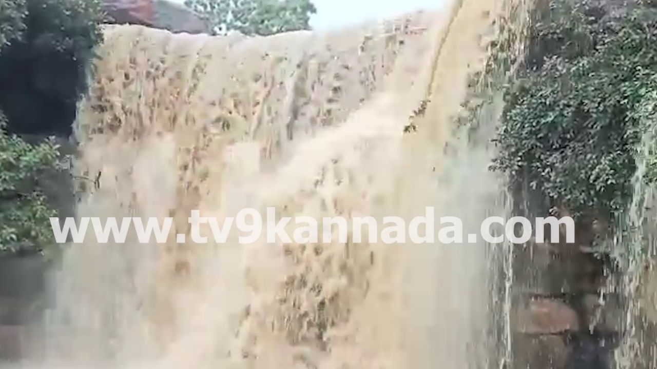 ಭಾರೀ ಮಳೆಗೆ ಭೋರ್ಗರೆಯುತ್ತಿದೆ ಕಪೀಲತೀರ್ಥ ಜಲಪಾತ