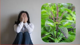 ಆತಂಕ, ಒತ್ತಡಕ್ಕೆ ಈ ಎಲೆ ಪರಿಹಾರ