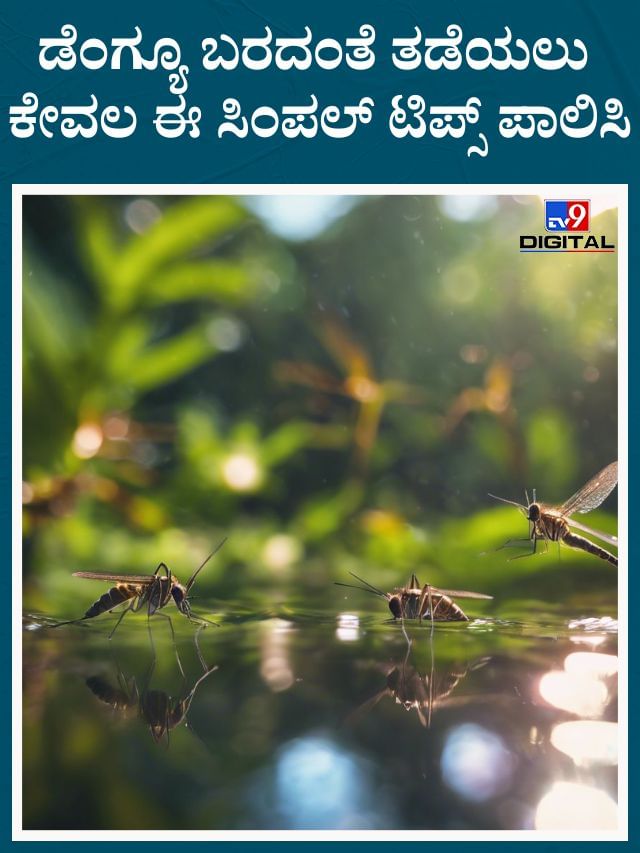 ಈ ಸಿಂಪಲ್ ಟಿಪ್ಸ್ ಪಾಲಿಸಿದರೆ ಡೆಂಗ್ಯೂ ಬರದಂತೆ ತಡೆಯಬಹುದು