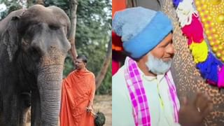 Video: ದೈಹಿಕ ನ್ಯೂನತೆ ಮರೆತು ಖುಷಿಯಿಂದ ಚೆಂಡಾಟ ಆಡಿದ ಆನೆಗಳು