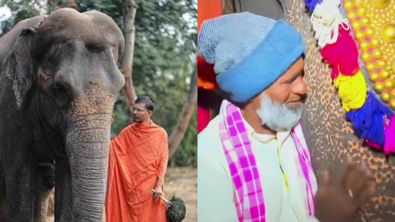 Viral: ಮಾಧುರಿಗಾಗಿ ಮಿಡಿದ ಕರ್ನಾಟಕದ ಜೈನ ಸಮುದಾಯ, ಜಿಯೋಗೆ ಗುಡ್​​ಬೈ ಹೇಳಿದ ಜನ