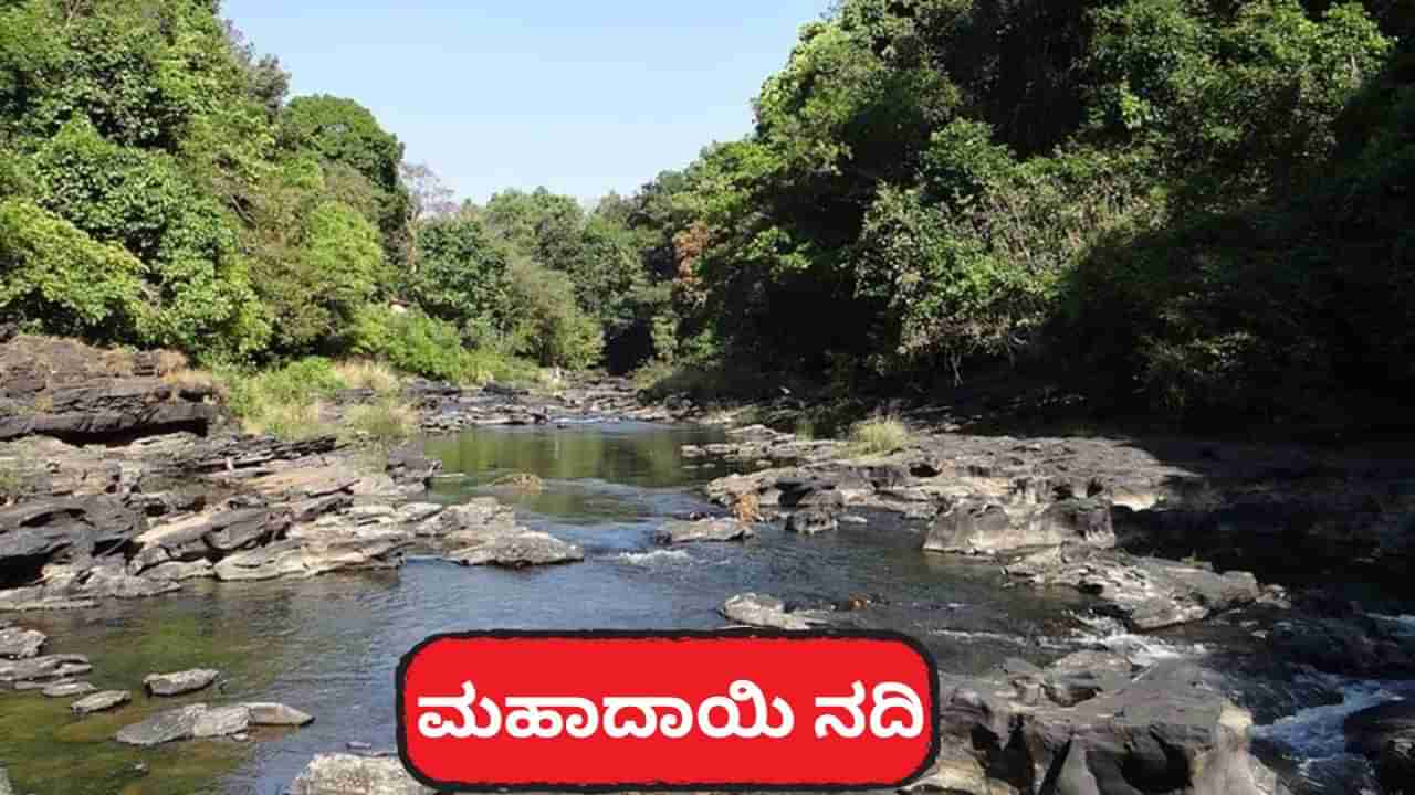 ಗುಡ್ ನ್ಯೂಸ್: ಕೊನೆಗೂ ಮಹದಾಯಿ ಯೋಜನೆ ಜಾರಿಗೆಗೆ ದಿಟ್ಟ ಹೆಜ್ಜೆ ಇಟ್ಟ ಸರ್ಕಾರ