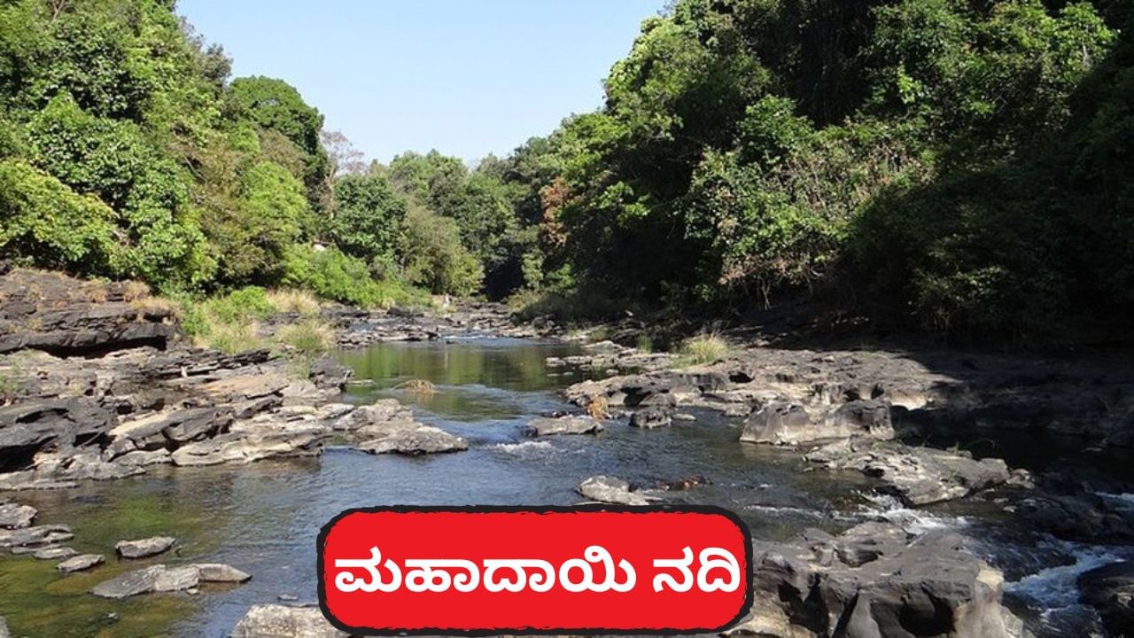 ಗುಡ್ ನ್ಯೂಸ್: ಕೊನೆಗೂ ಮಹದಾಯಿ ಯೋಜನೆ ಜಾರಿಗೆಗೆ ದಿಟ್ಟ ಹೆಜ್ಜೆ ಇಟ್ಟ ಸರ್ಕಾರ ಗುಡ್ ನ್ಯೂಸ್: ಕೊನೆಗೂ ಮಹದಾಯಿ ಯೋಜನೆ ಜಾರಿಗೆಗೆ ದಿಟ್ಟ ಹೆಜ್ಜೆ ಇಟ್ಟ ಸರ್ಕಾರ