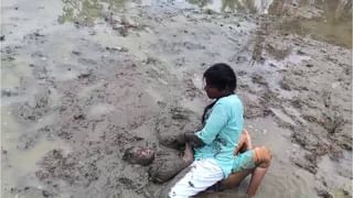 ವಿಧಾನ ಪರಿಷತ್‌ಗೆ ನಾಲ್ವರ ನಾಮನಿರ್ದೇಶನ ಪಟ್ಟಿ ಫೈನಲ್: ಕೊನೆಕ್ಷಣದಲ್ಲಿ ಅಮಿನ್ ಮಟ್ಟುಗೆ ಶಾಕ್